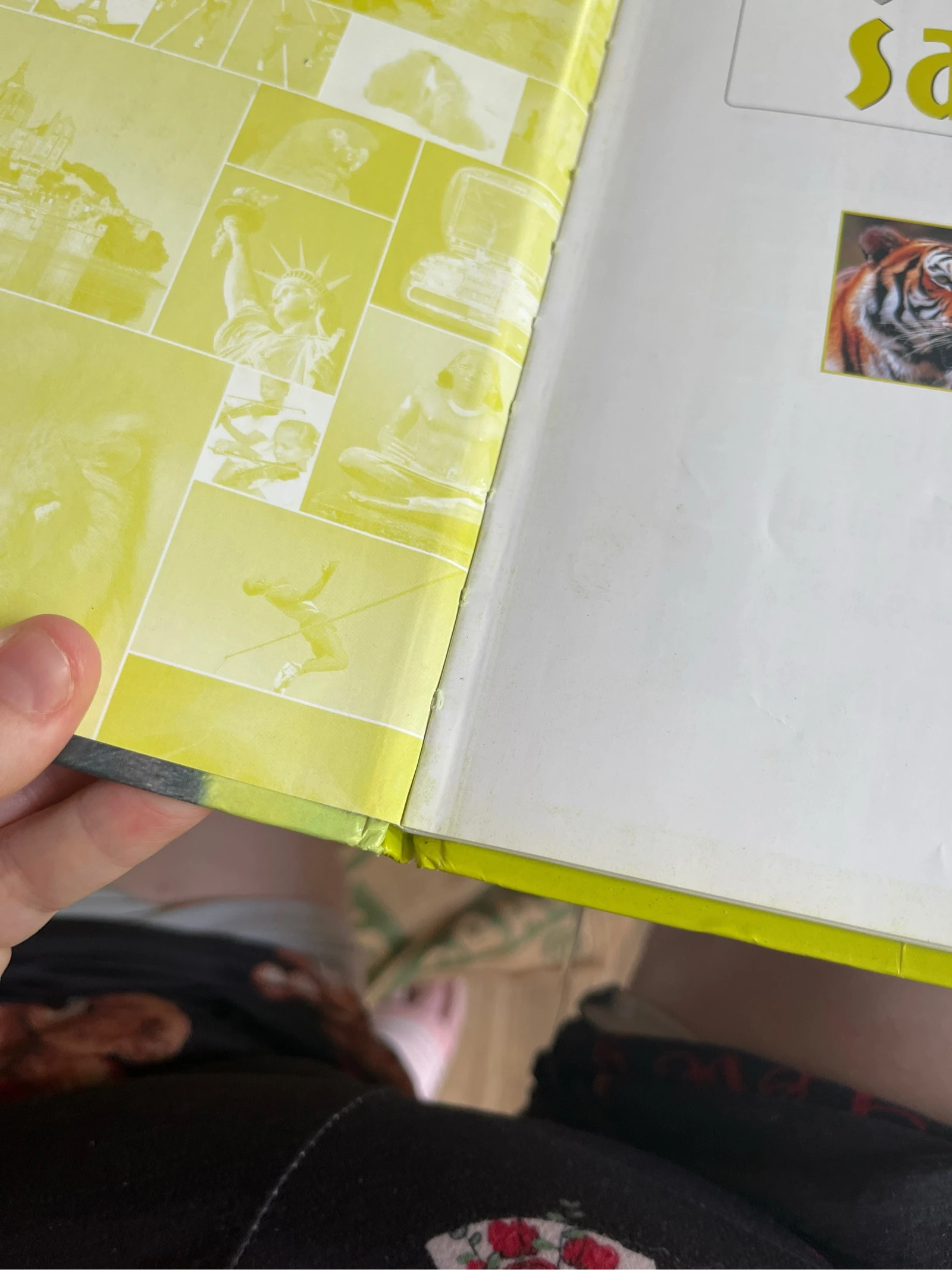 Libro infantil El Atlas de los Juniors: Los animales salvajes - Ediciones Atlas – photo 5